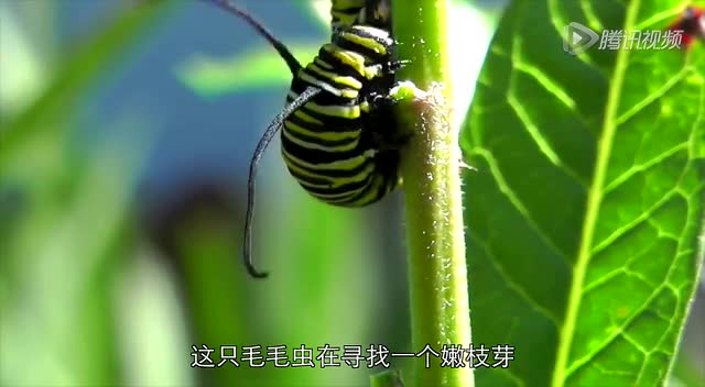 360影视 影视搜索 360影视 影视搜索