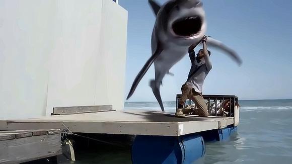 视频: 鲨鱼星球,胡子男与 鲨鱼搏杀,大哥紧张的鱼叉都拿反了