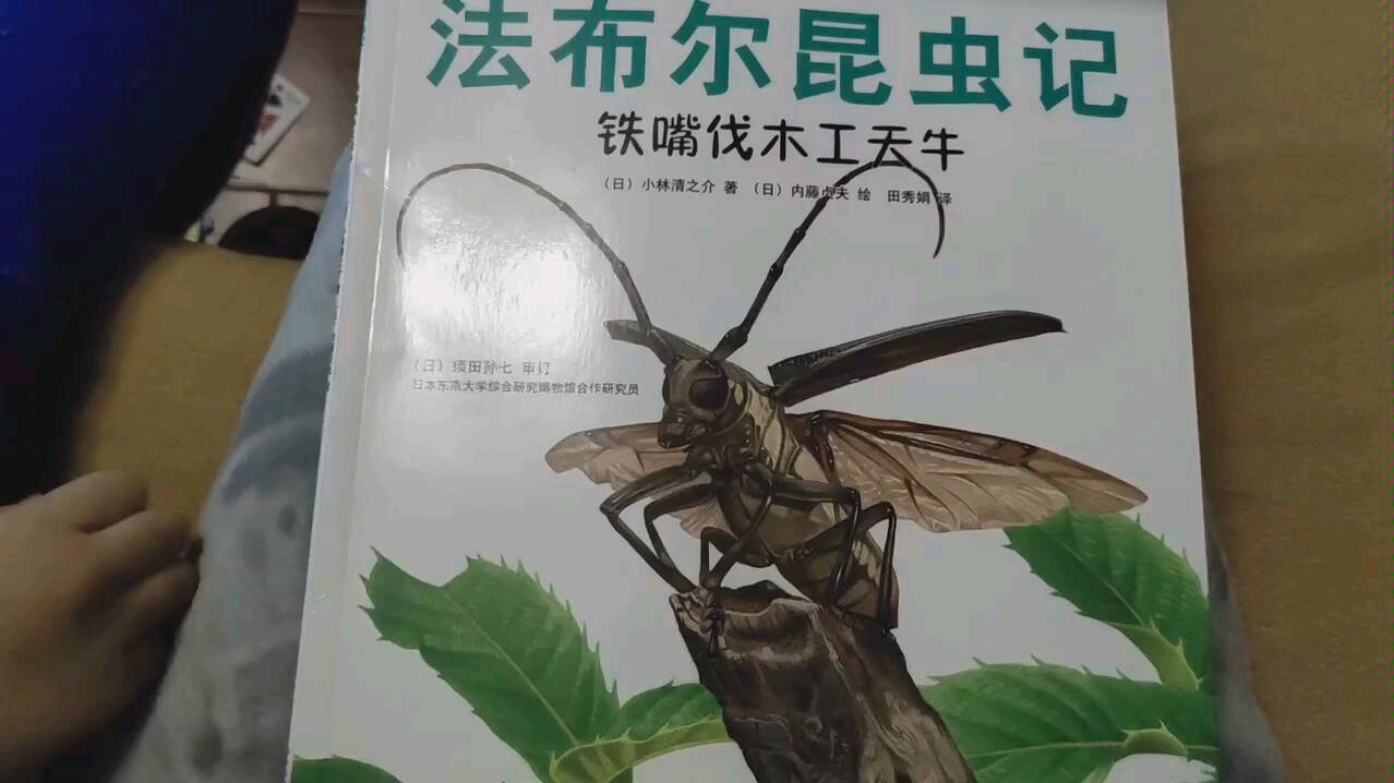 [图]最美的法布尔昆虫记-铁嘴伐木工天牛