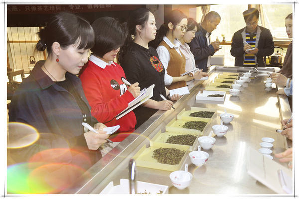 茶艺有几种分类_哪有茶艺_茶艺有什么意义