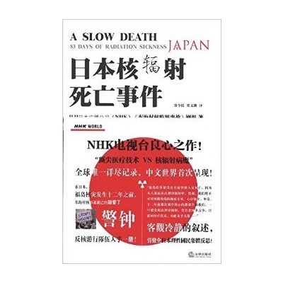 日本东海村核临界事故的事故临界概况