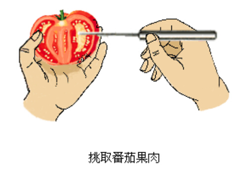 番茄植物细胞的做法