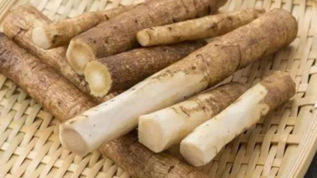 牛蒡是山药吗 牛蒡是山药吗?-第2张图片-宝宝资讯网
