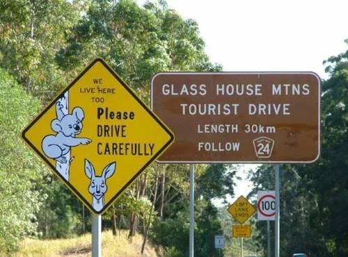 怎么样才能学会看得懂大城市十字路口等地方的