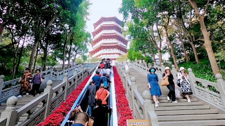 [图]参观杭州雷峰塔,登上塔顶俯瞰西湖美景,景色太美了