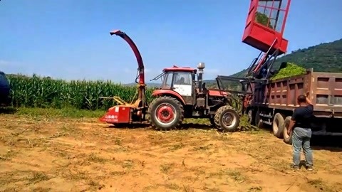 山东犇牛双圆盘 青储机跟车收割玉米 秸秆收割机