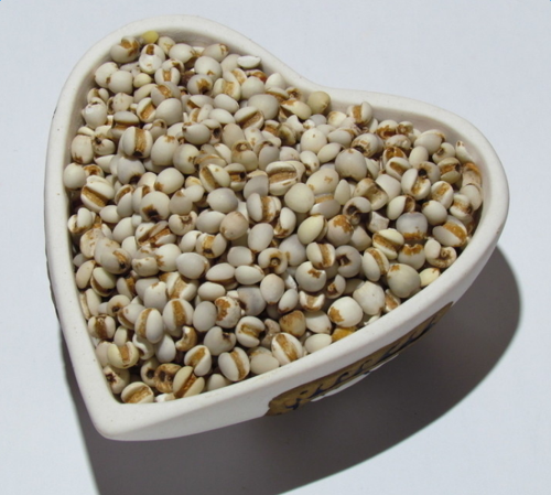 薏米发霉怎么办