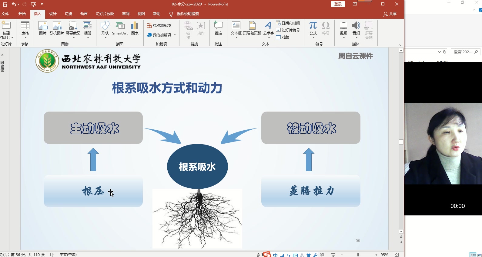 [图]植物生理学-水分生理3