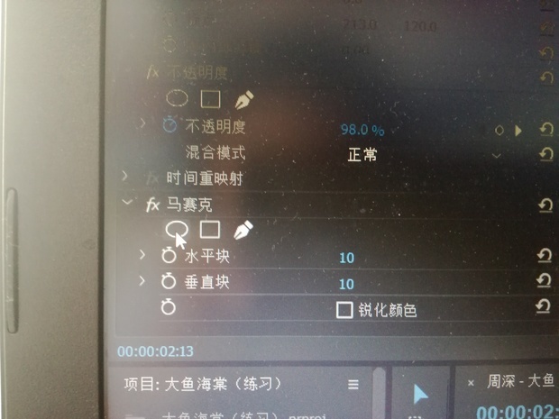 pr扣图不显示扣图线