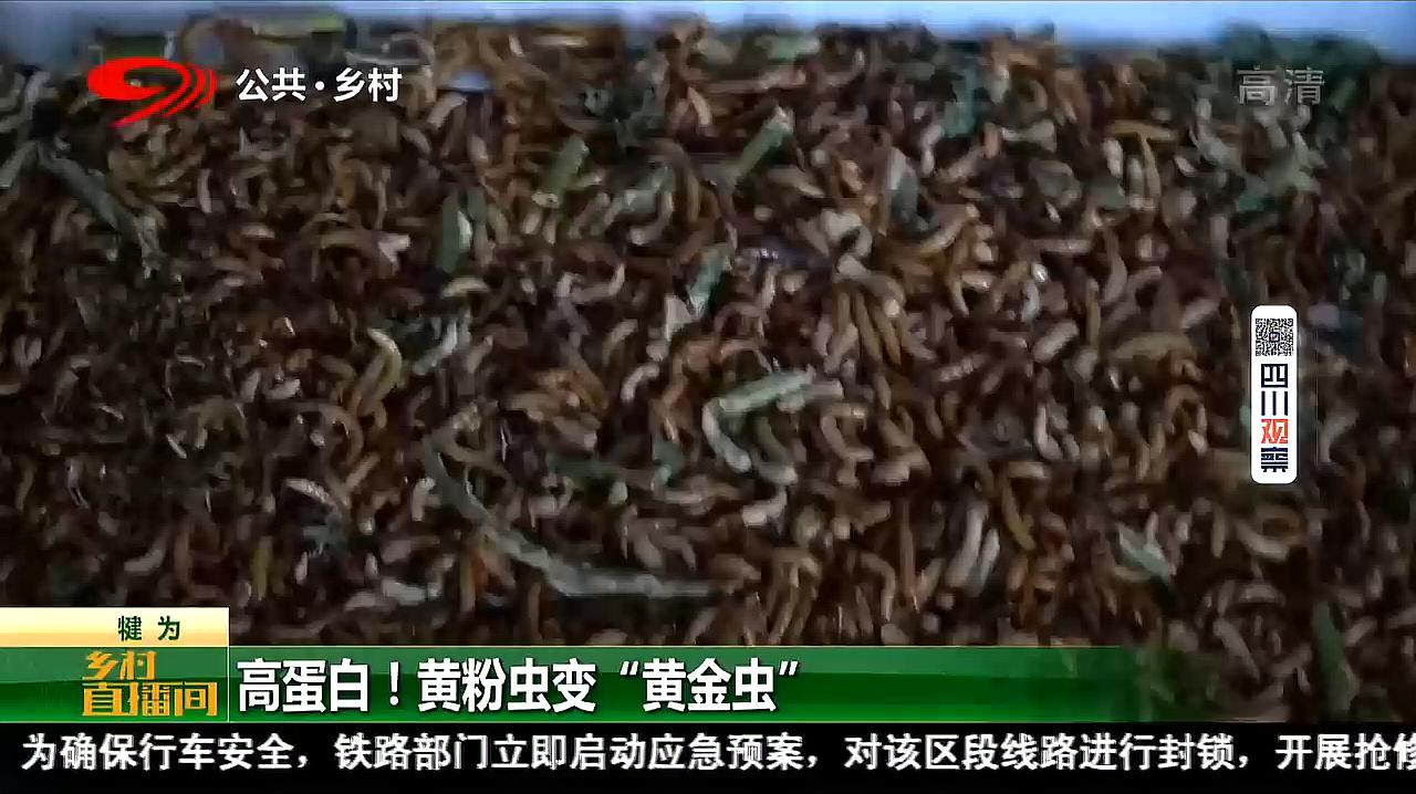 360影视 影视搜索