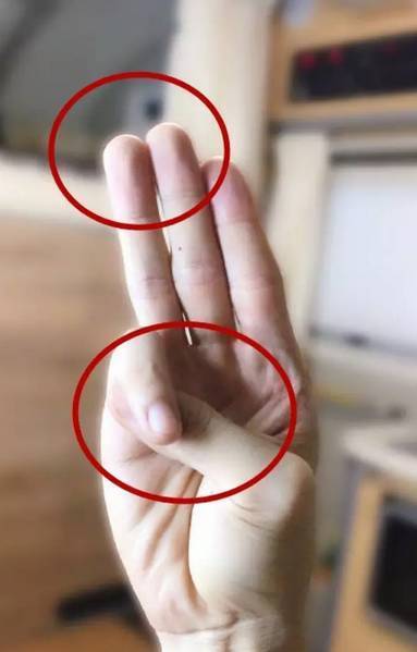 中国人发誓的手势是什么不是宣誓