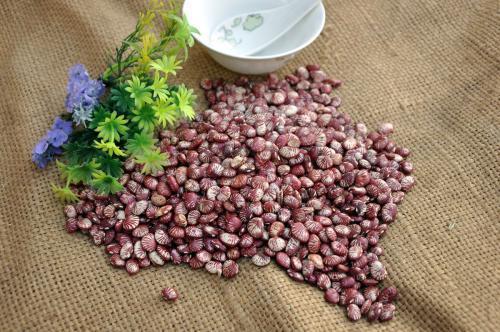 安逸花云闪付是什么