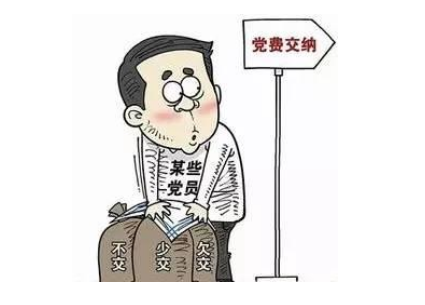 党费的当收应收,当缴应缴如何解释