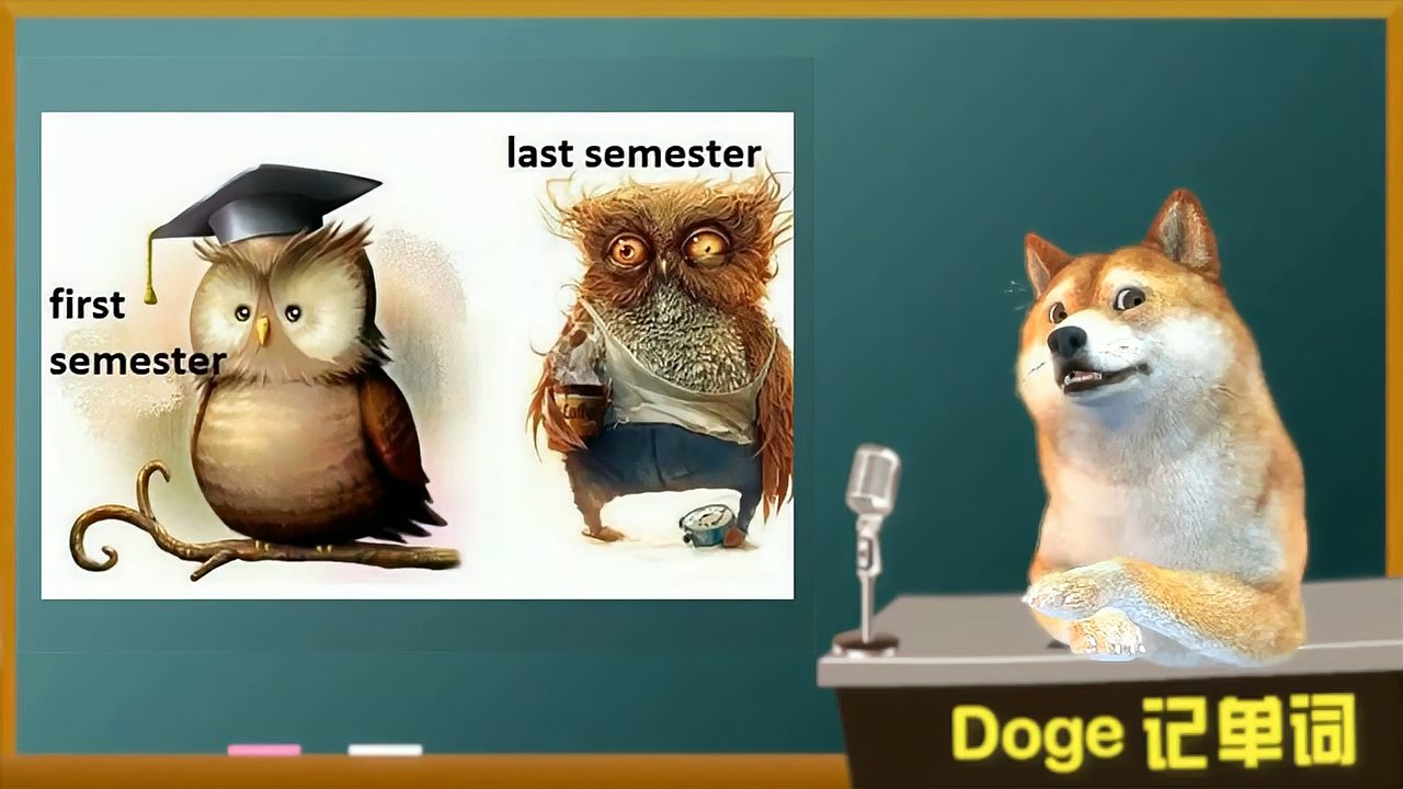 [图]「Doge每日一词」semester 四六级考研英语必考词汇