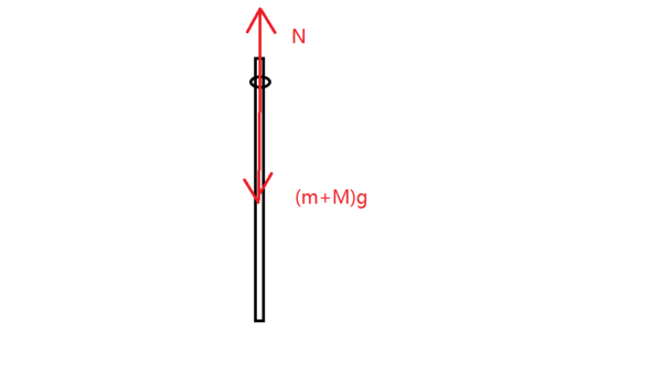 如图所示一根长为零点五米的竖直杆立在水平面