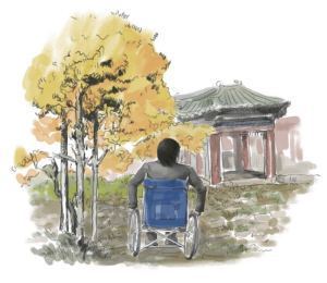 《合欢树》史铁生母亲很喜欢花木但当心思全