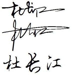 帮我设计一个(杜长江)的艺术签名