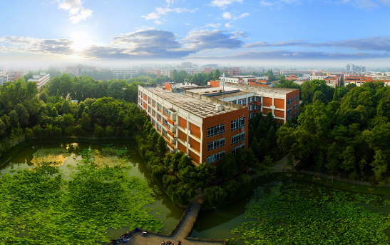 什么时间可以查四川传媒学院2019美术成绩查询