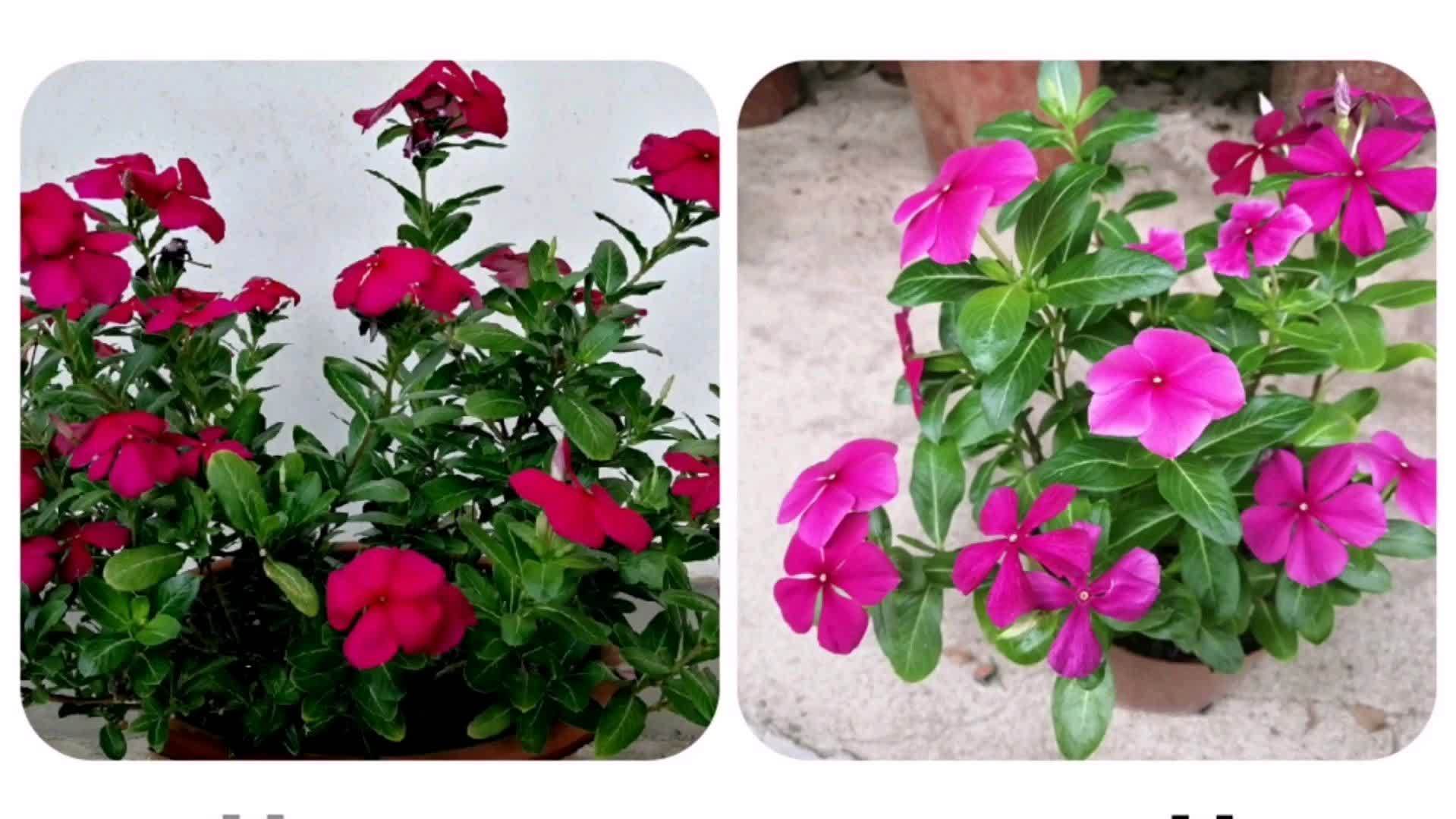 360影视 影视搜索