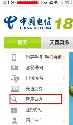 中国电信用户怎样查询话费账单?