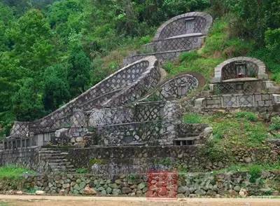 长镰草飞镰草长什么样