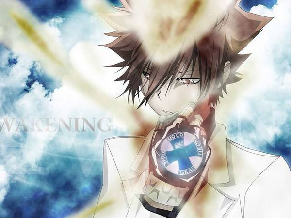 求家庭教师10年后彭格列家族,尤其是六位守护者的图片.