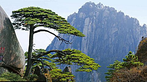 祖国万岁-陈再新