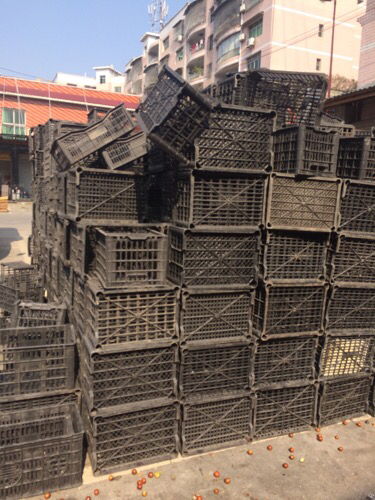 本人想办一个小型再生塑料颗粒加工厂,原料是废旧的黑色塑料筐,厂地