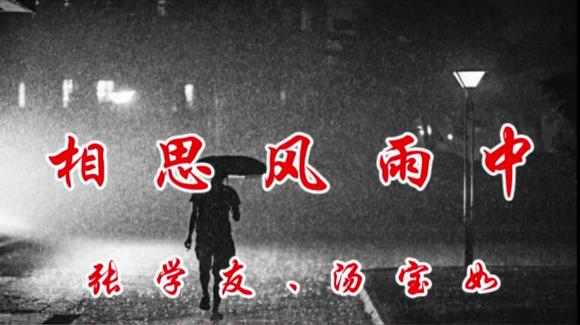视频:张学友,汤宝如经典歌曲《 相思风雨中》,情海.