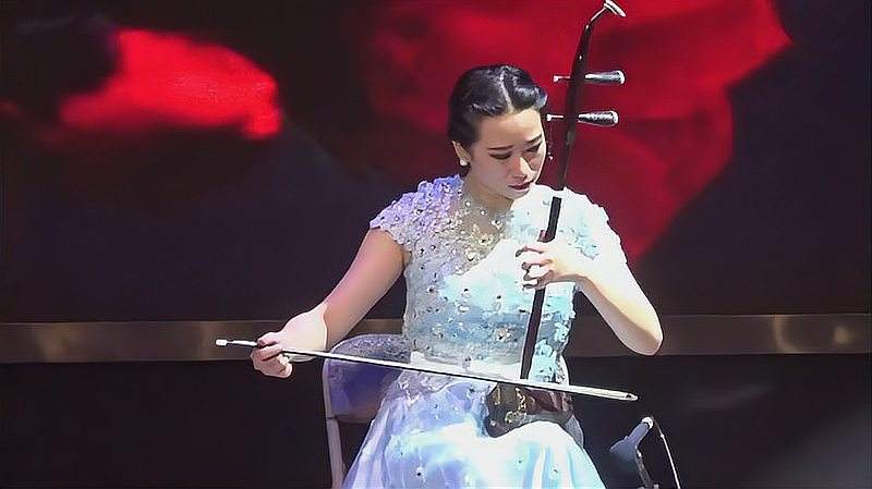 二胡演奏家王亚利演奏名曲《 一枝花》,优美动听