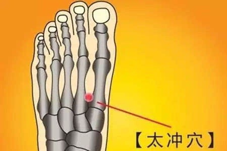 行间和太冲的准确位置在哪?