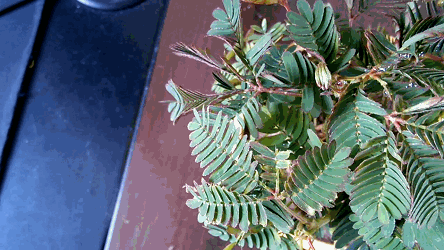 迅雷看看截取视频动态gif格式图片的技巧方法