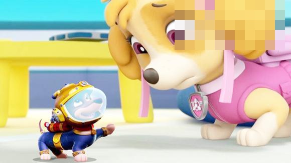 视频:狗狗巡逻队天天雪山大冒险 汪汪队立大功