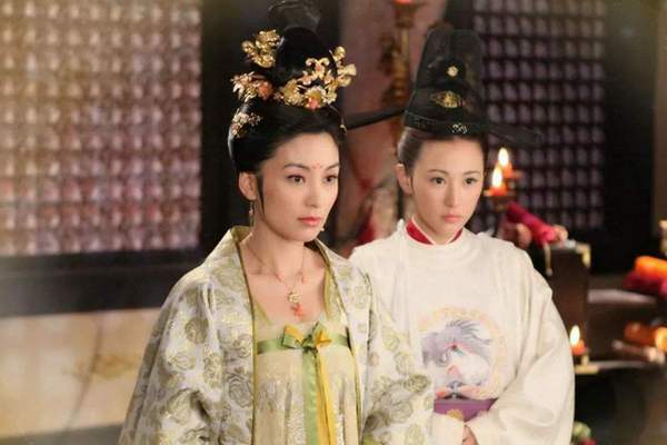 他有抑郁症,而是因为他想通过自残躲避迎娶东晋简文帝的女儿新安公主