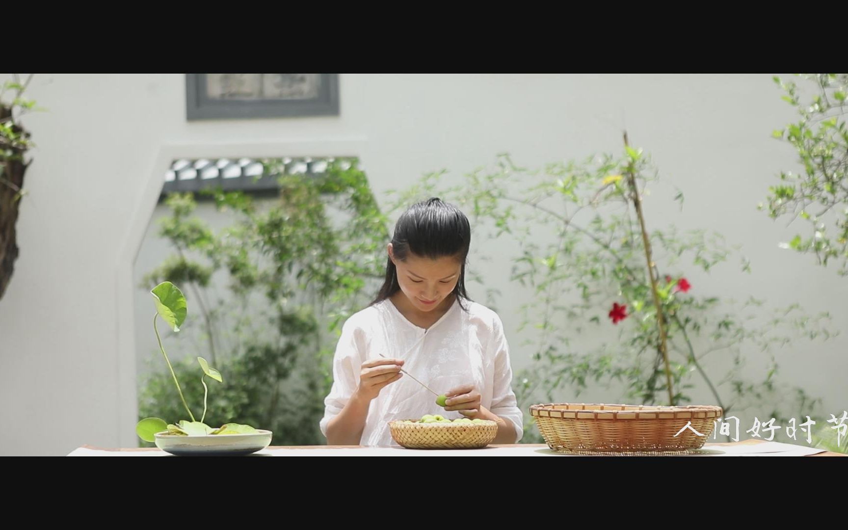 [图]人间好时节 • 芒种 — 谩摘青梅尝煮酒