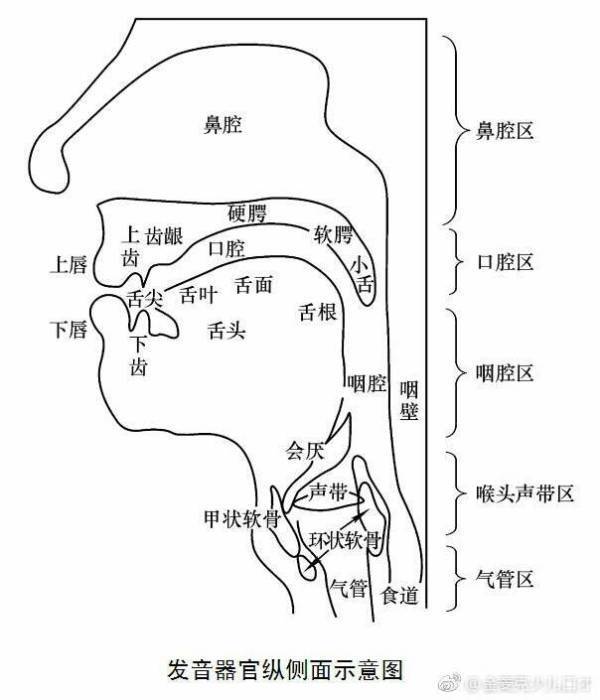 zcs发音不准如何矫正