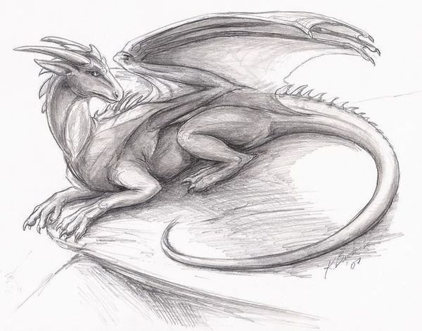 关于龙的素描图片