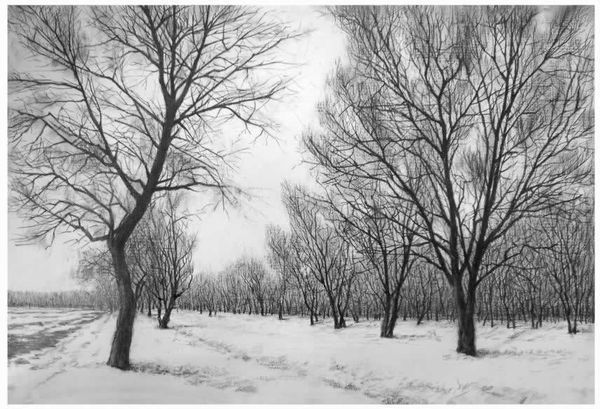 帮忙找几幅素描风景画, 简单点的 ,容易出效果的