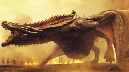 360影视-影视搜索