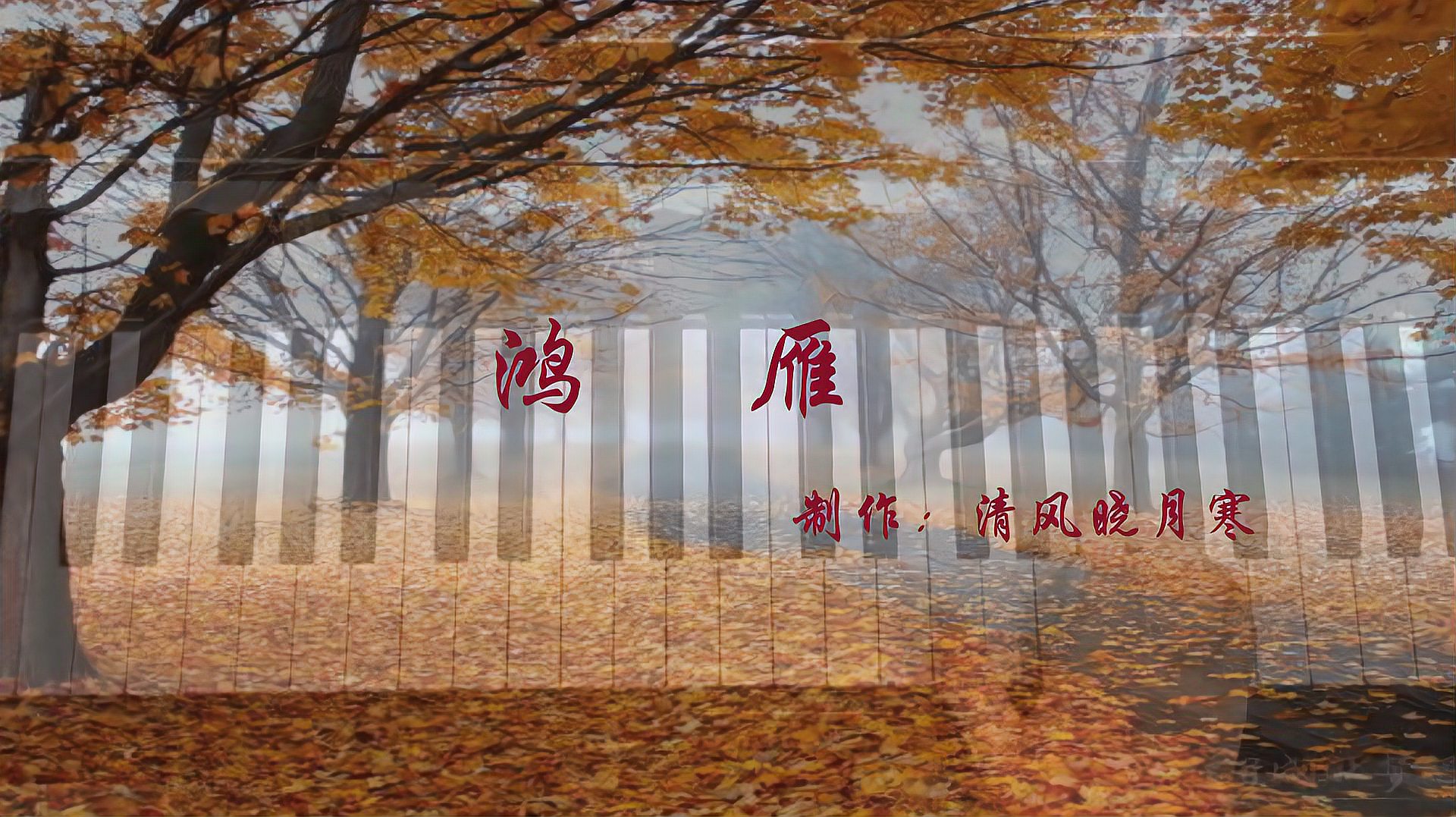 360影视-影视搜索