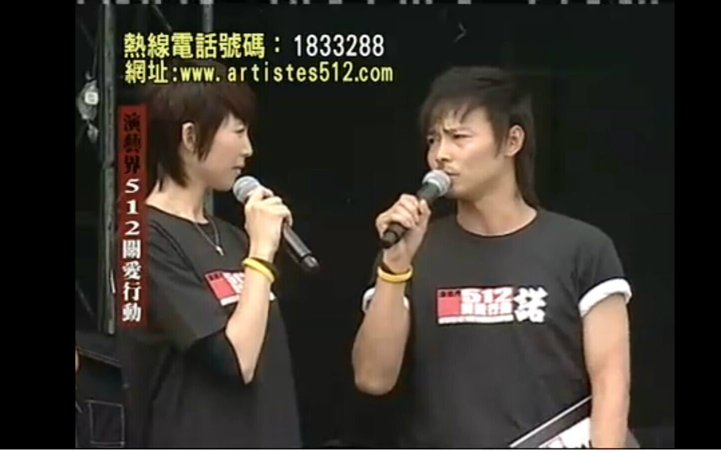 [图]6月1日[演艺界512 关爱行动]大汇演 2008-06-01