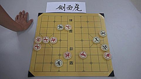 侧面虎——高钓马