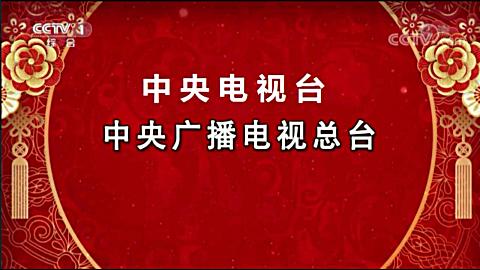 央视春晚零点报时失误图片