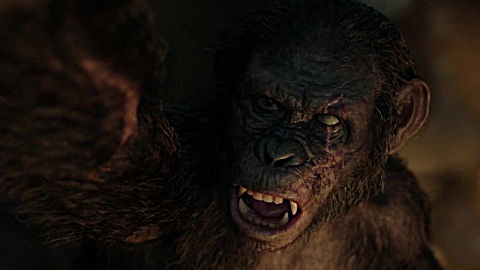 电影猩球崛起,叛徒科巴战败后向凯撒求饶,说 猩猩不杀同类,凯撒:你不