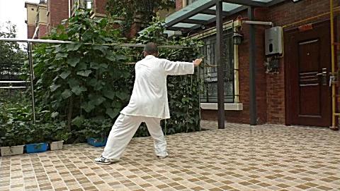 爱剪辑-56式杨氏 太极拳背向演练