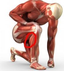 双腿膝盖下方外侧的肌肉疼