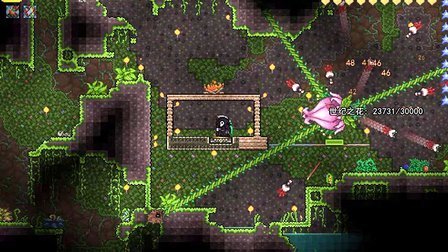 泰拉瑞亚世纪之花在哪