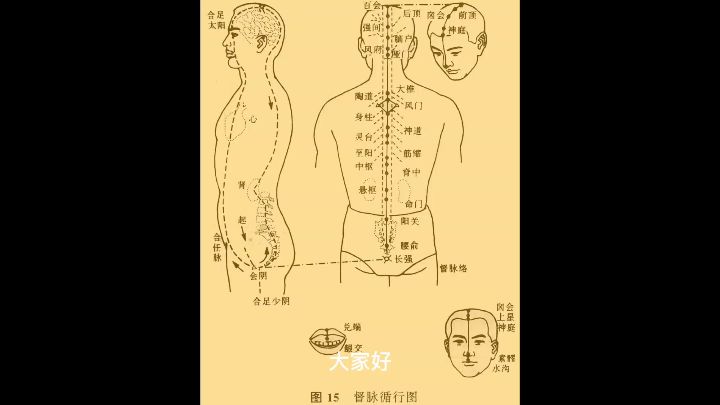 [图]【奇经八脉】督脉