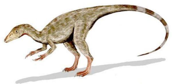 美颌龙中"颌"读什么?_360问答