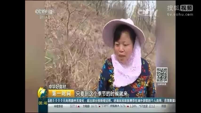 360影视 影视搜索 360影视 影视搜索